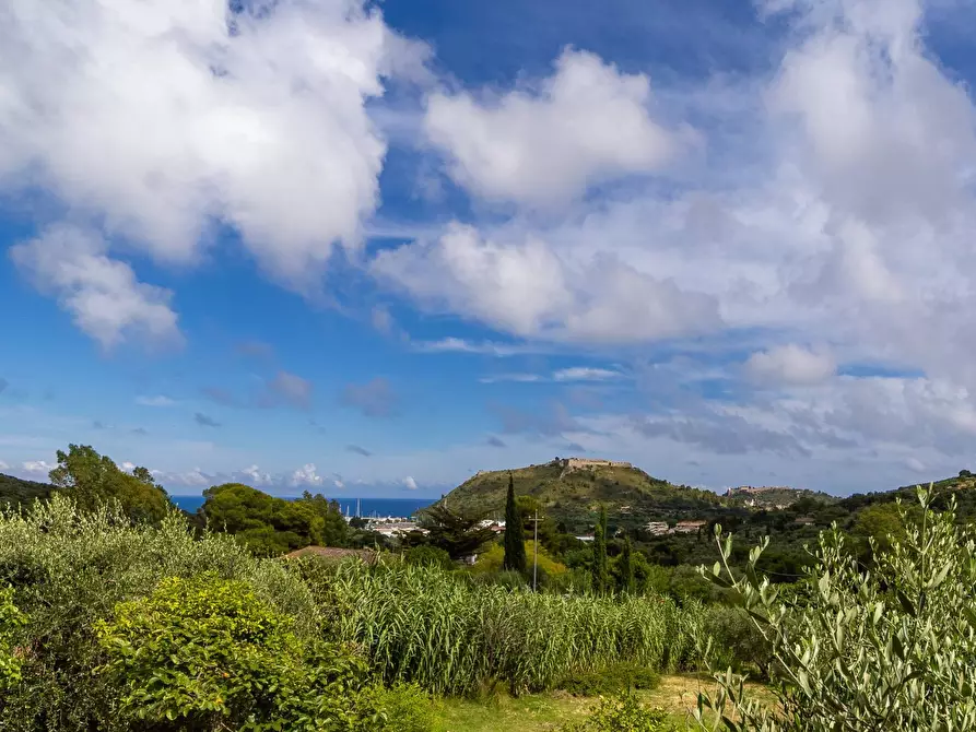 Immagine 25 di Villa in affitto  in località aquilino snc a Monte Argentario