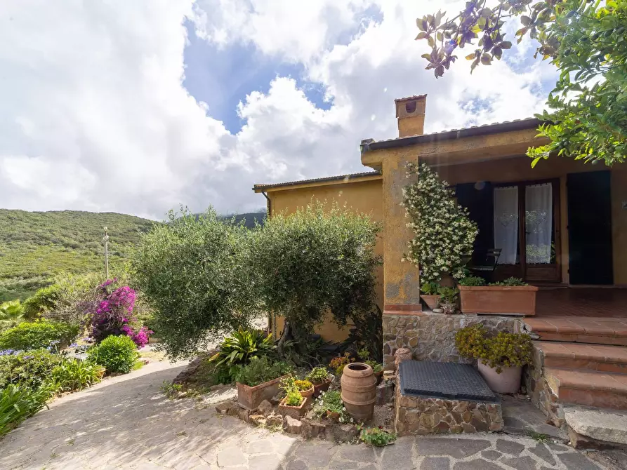 Immagine 4 di Villa in affitto  in località aquilino snc a Monte Argentario
