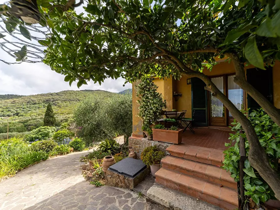 Immagine 26 di Villa in affitto  in località aquilino snc a Monte Argentario