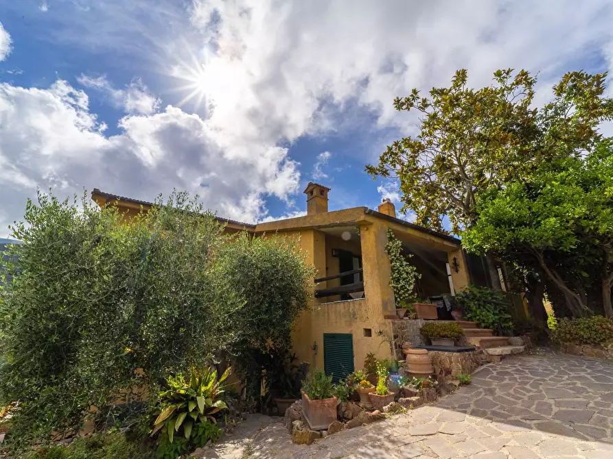 Immagine 27 di Villa in affitto  in località aquilino snc a Monte Argentario