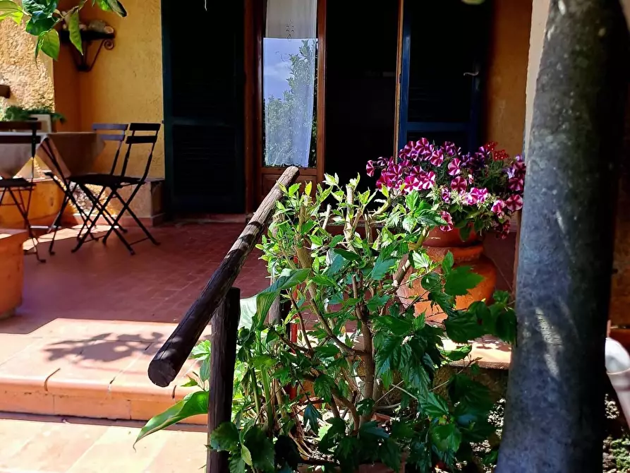Immagine 28 di Villa in affitto  in località aquilino snc a Monte Argentario