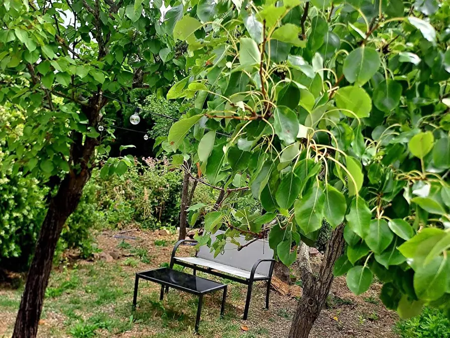 Immagine 30 di Villa in affitto  in località aquilino snc a Monte Argentario