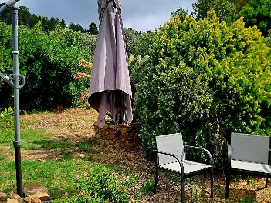 Immagine 31 di Villa in affitto  in località aquilino snc a Monte Argentario