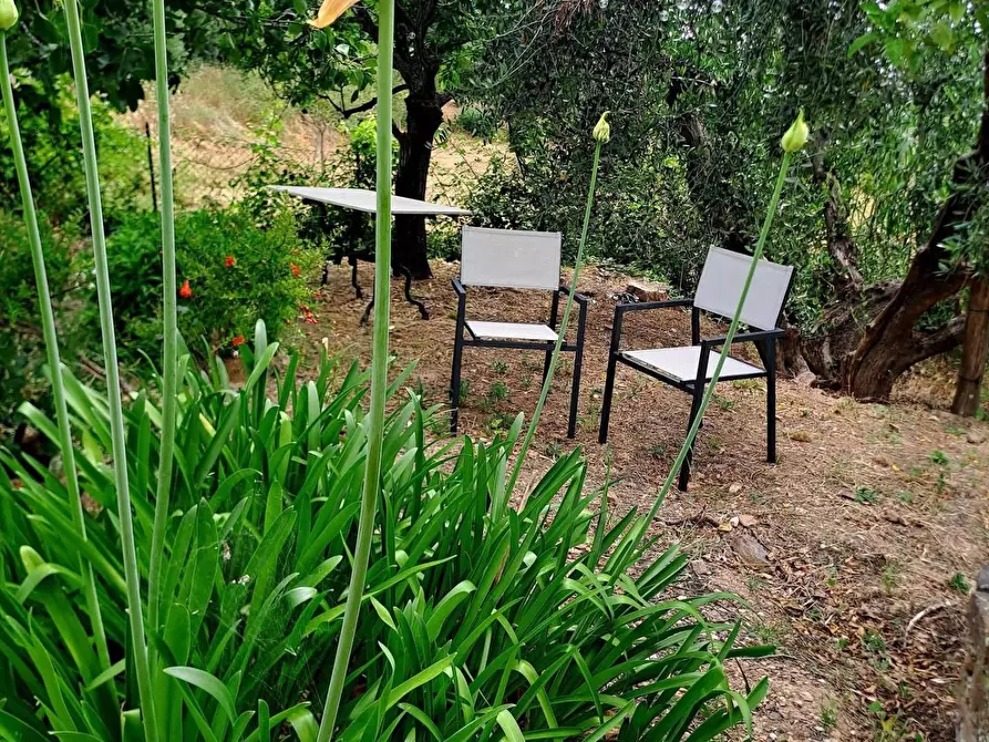 Immagine 32 di Villa in affitto  in località aquilino snc a Monte Argentario