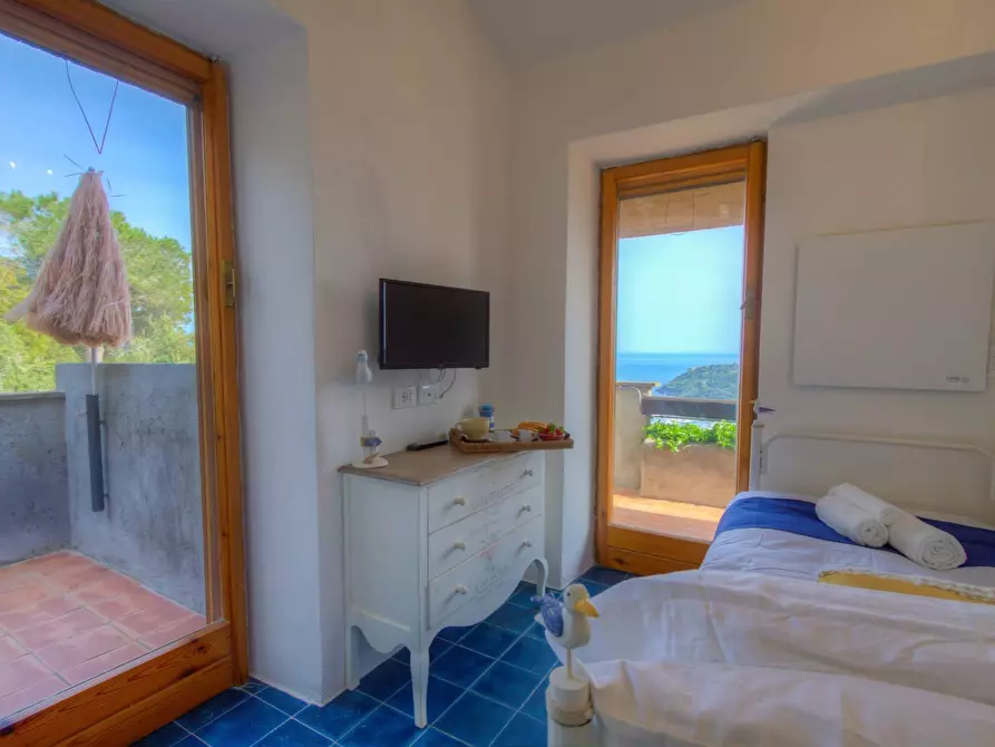 Immagine 11 di Casa semindipendente in affitto  in poggio pertuso alto a Monte Argentario