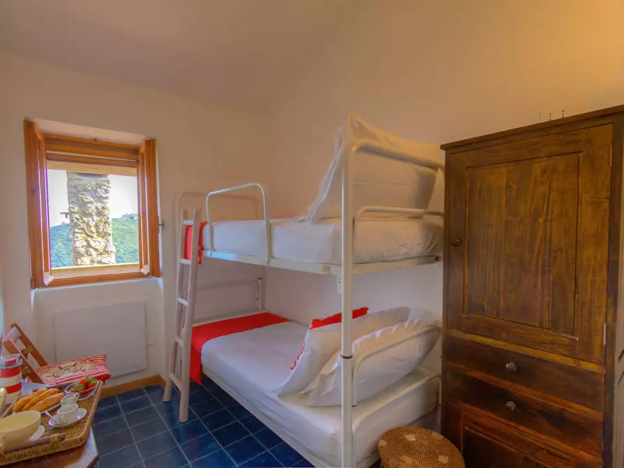 Immagine 15 di Casa semindipendente in affitto  in poggio pertuso alto a Monte Argentario