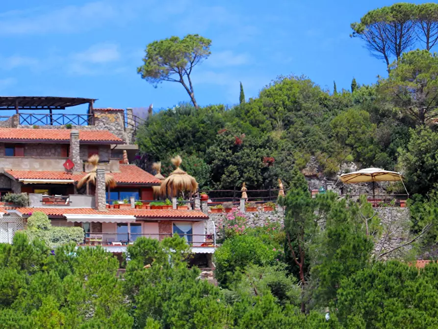 Immagine 20 di Casa semindipendente in affitto  in poggio pertuso alto a Monte Argentario