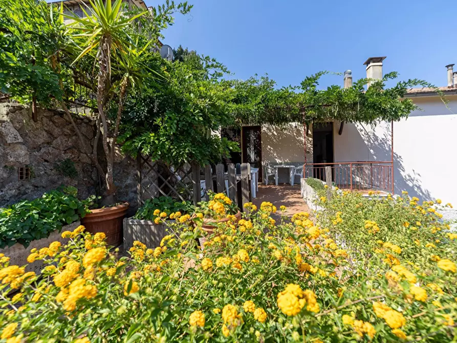 Immagine 26 di Casa indipendente in vendita  in Strada delle Fornaci 57 a Monte Argentario