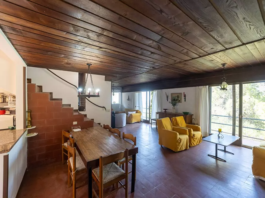 Immagine 4 di Villa in vendita  in Località Poggio Pertuso snc a Monte Argentario