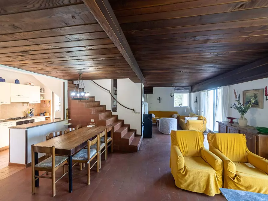 Immagine 5 di Villa in vendita  in Località Poggio Pertuso snc a Monte Argentario