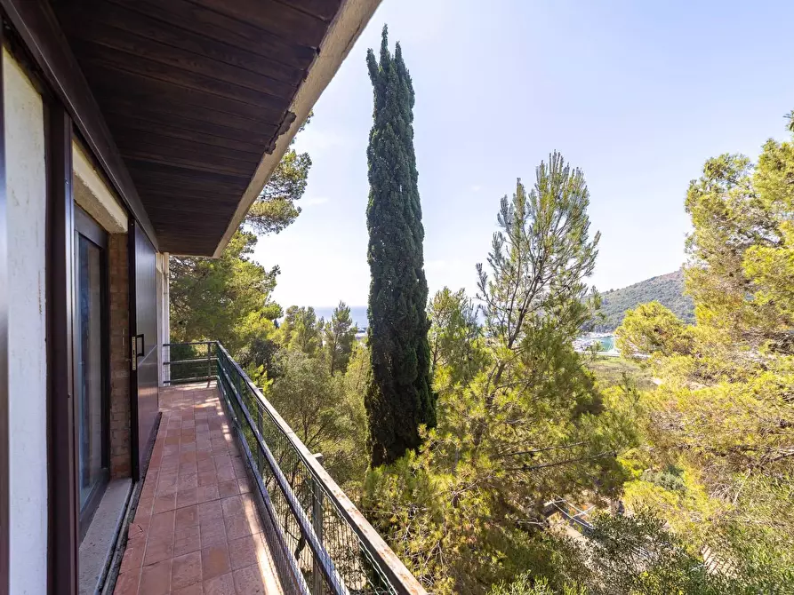 Immagine 22 di Villa in vendita  in Località Poggio Pertuso snc a Monte Argentario