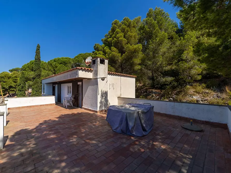 Immagine 24 di Villa in vendita  in Località Poggio Pertuso snc a Monte Argentario