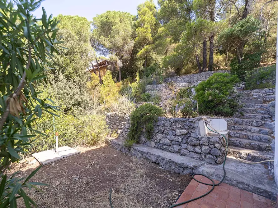 Immagine 28 di Villa in vendita  in Località Poggio Pertuso snc a Monte Argentario