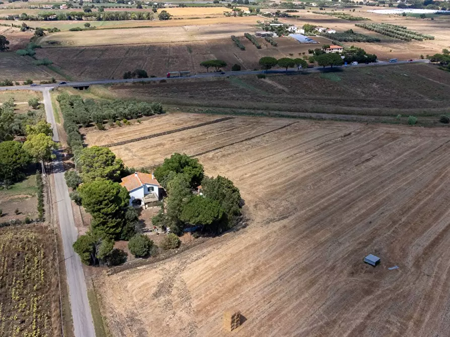 Immagine 3 di Villa in vendita  in Strada Ponte tre occhi snc a Capalbio