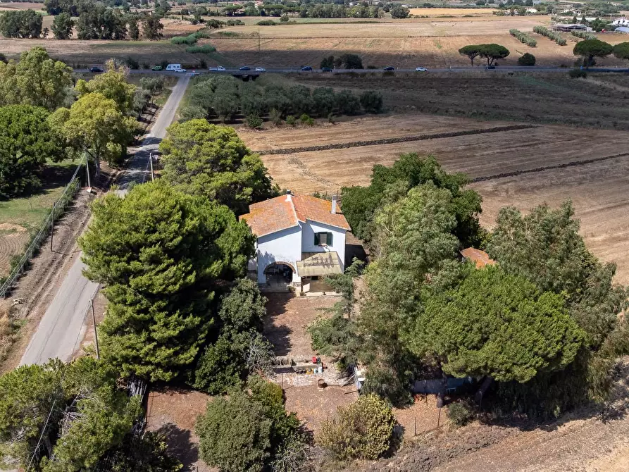 Immagine 4 di Villa in vendita  in Strada Ponte tre occhi snc a Capalbio