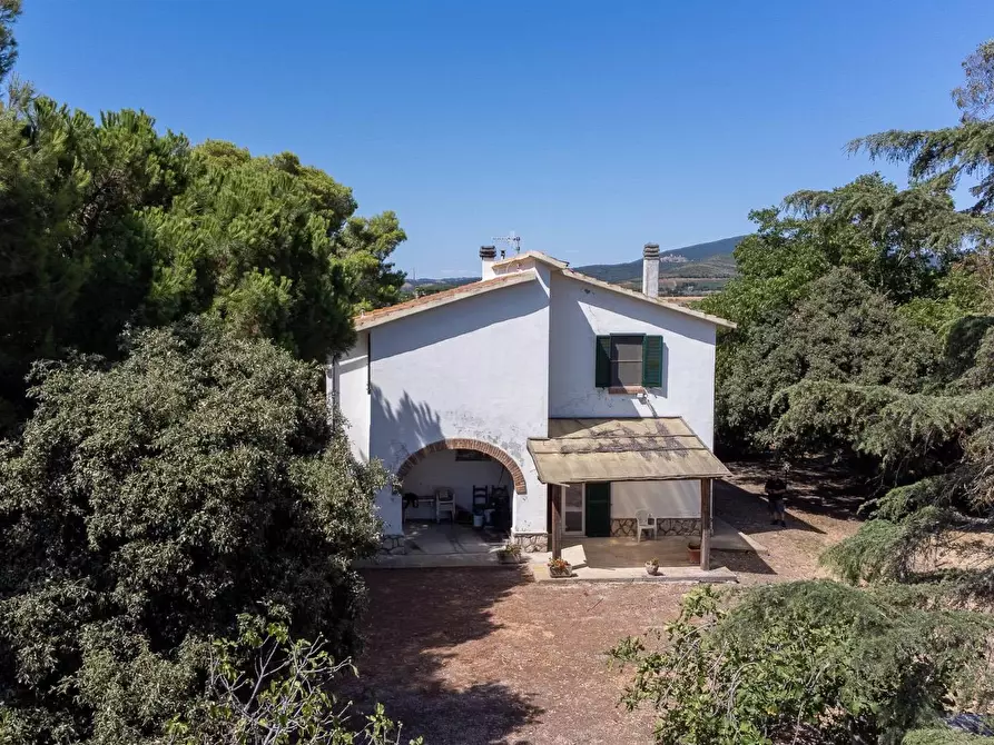 Immagine 7 di Villa in vendita  in Strada Ponte tre occhi snc a Capalbio