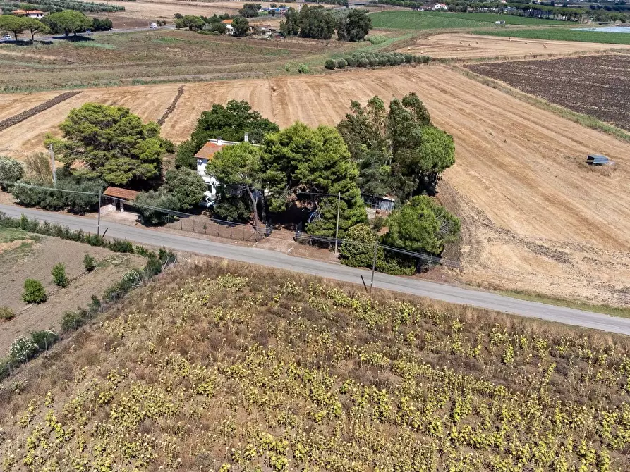 Immagine 8 di Villa in vendita  in Strada Ponte tre occhi snc a Capalbio