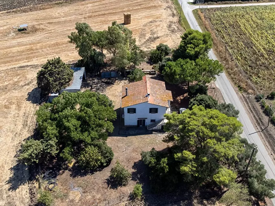 Immagine 10 di Villa in vendita  in Strada Ponte tre occhi snc a Capalbio
