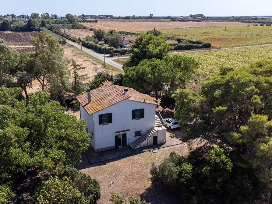 Immagine 11 di Villa in vendita  in Strada Ponte tre occhi snc a Capalbio