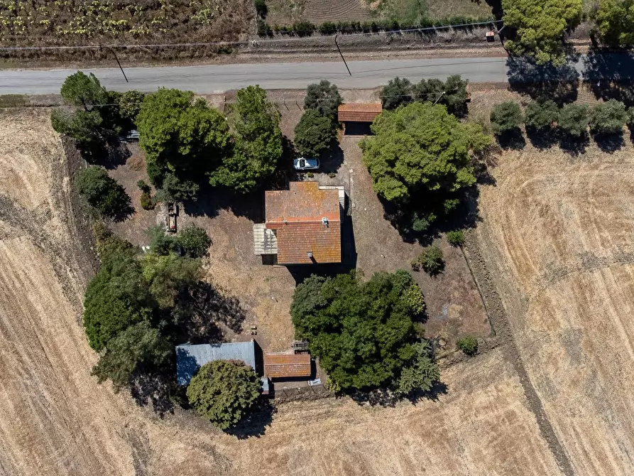 Immagine 13 di Villa in vendita  in Strada Ponte tre occhi snc a Capalbio