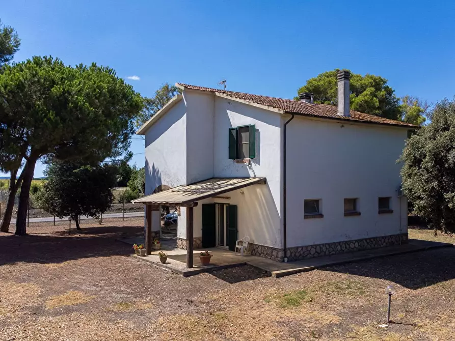 Immagine 14 di Villa in vendita  in Strada Ponte tre occhi snc a Capalbio