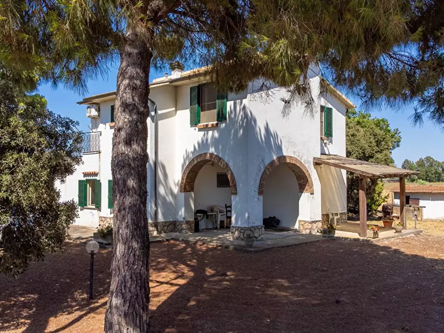 Immagine 1 di Villa in vendita  in Strada Ponte tre occhi snc a Capalbio