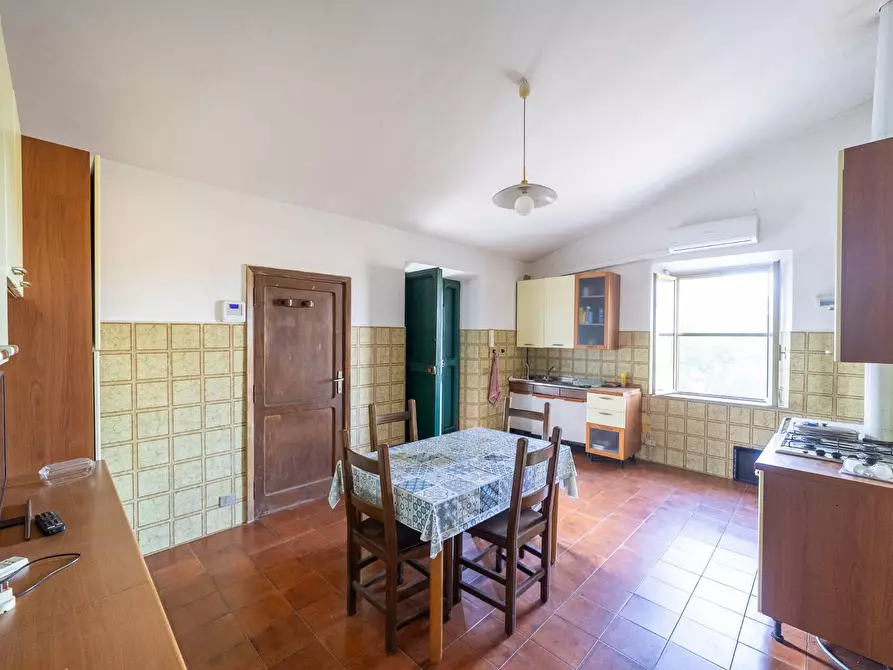 Immagine 17 di Villa in vendita  in Strada Ponte tre occhi snc a Capalbio