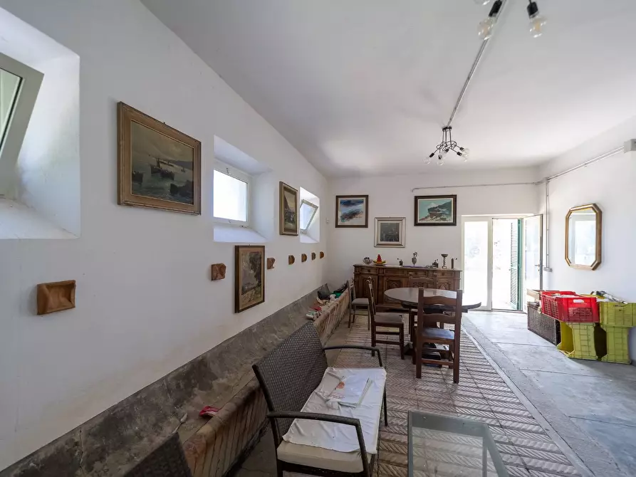 Immagine 29 di Villa in vendita  in Strada Ponte tre occhi snc a Capalbio