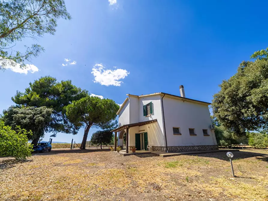 Immagine 36 di Villa in vendita  in Strada Ponte tre occhi snc a Capalbio