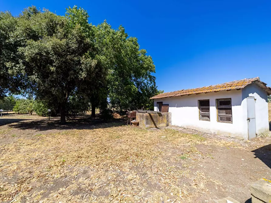 Immagine 5 di Villa in vendita  in Strada Ponte tre occhi snc a Capalbio