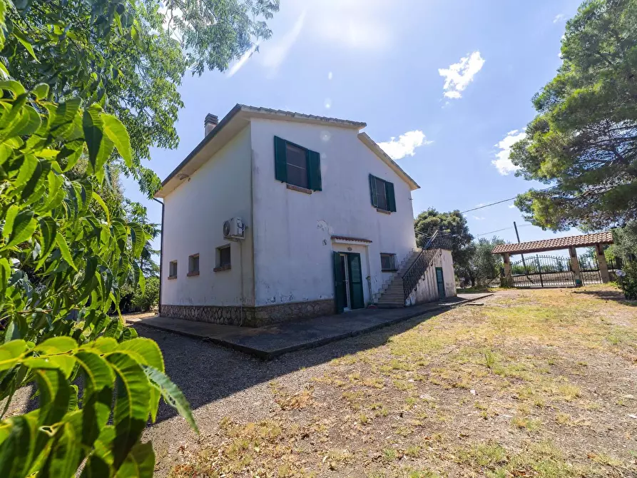 Immagine 37 di Villa in vendita  in Strada Ponte tre occhi snc a Capalbio