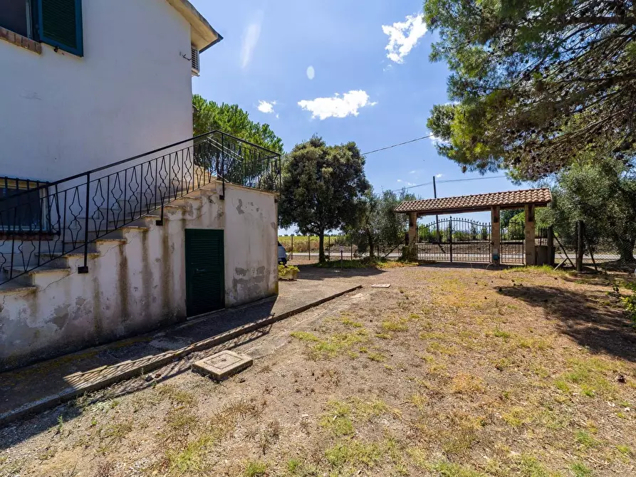 Immagine 38 di Villa in vendita  in Strada Ponte tre occhi snc a Capalbio