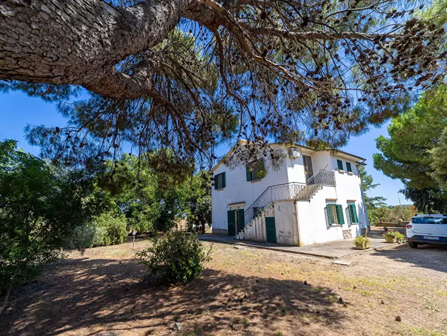 Immagine 2 di Villa in vendita  in Strada Ponte tre occhi snc a Capalbio