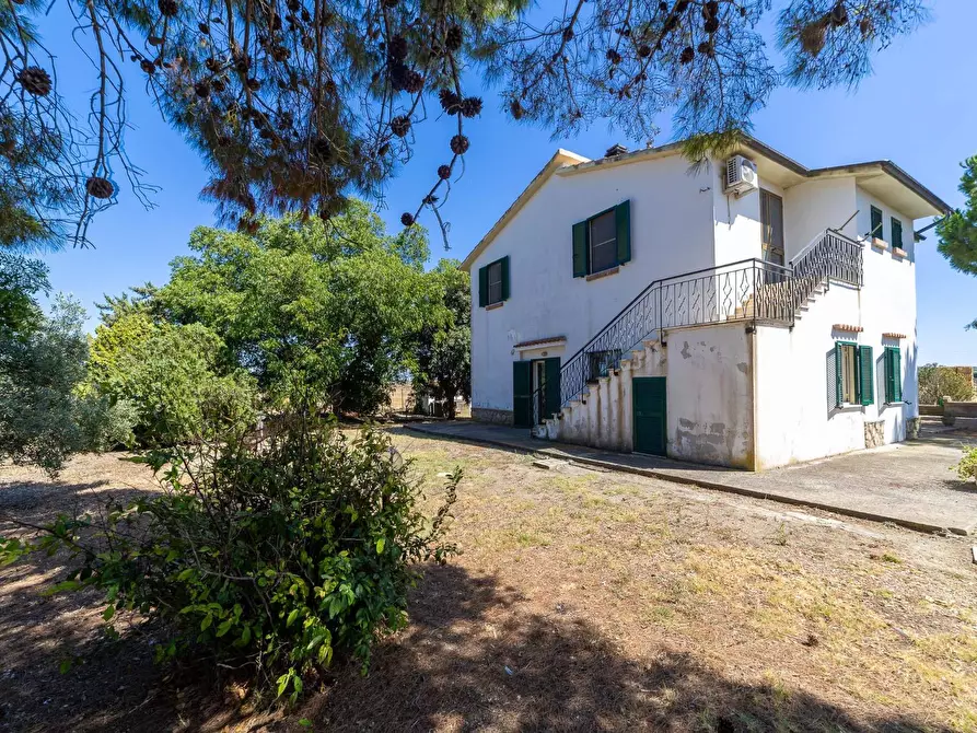 Immagine 39 di Villa in vendita  in Strada Ponte tre occhi snc a Capalbio