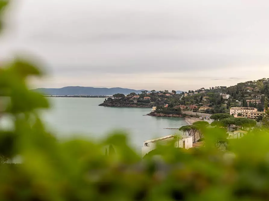 Immagine 2 di Casa semindipendente in affitto  in Località Forconata snc a Monte Argentario