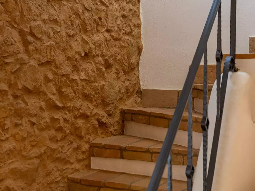 Immagine 17 di Casa indipendente in affitto  in Località Albetreto snc a Monte Argentario