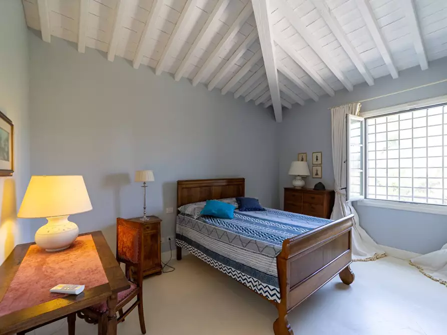 Immagine 23 di Casa indipendente in affitto  in Località Albetreto snc a Monte Argentario