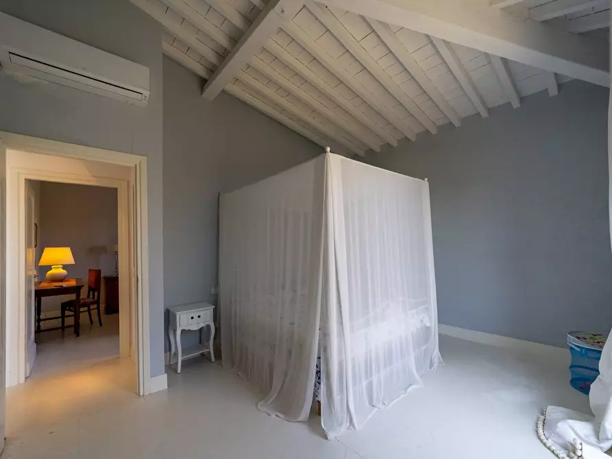 Immagine 26 di Casa indipendente in affitto  in Località Albetreto snc a Monte Argentario