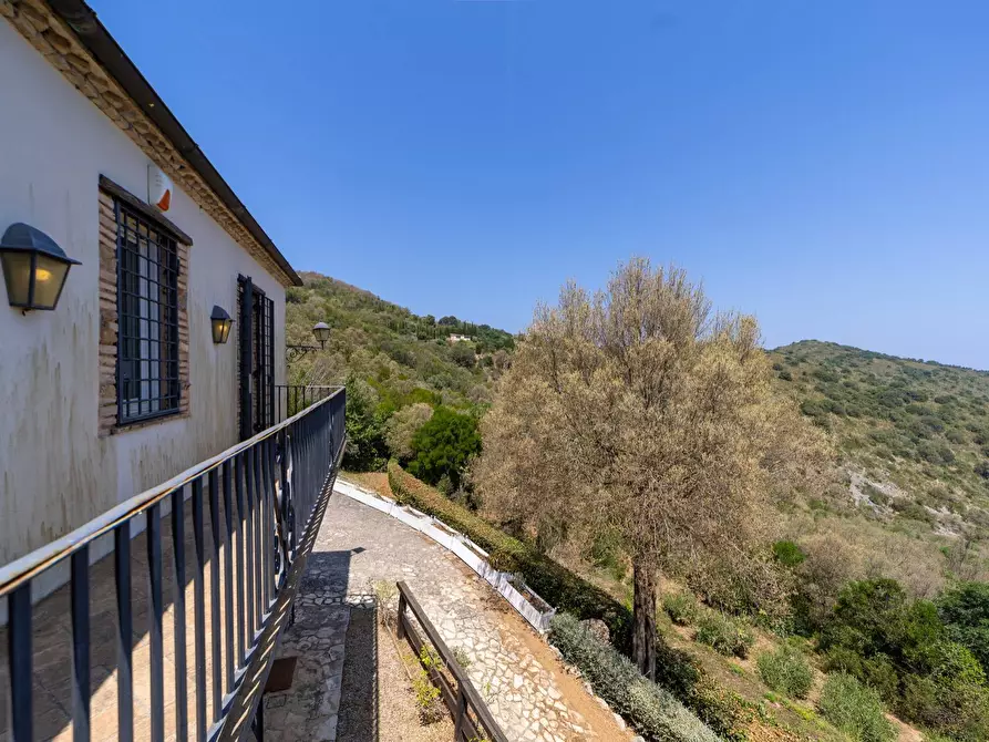 Immagine 31 di Casa indipendente in affitto  in Località Albetreto snc a Monte Argentario