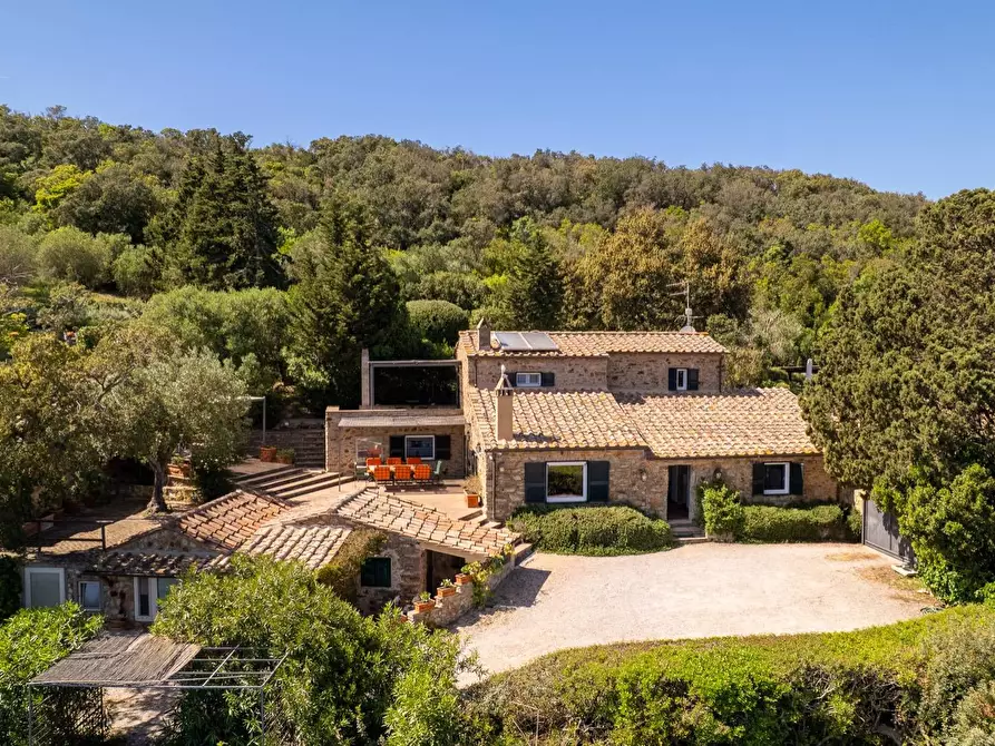 Immagine 3 di Villa in vendita  in Località Spaccamontagne snc a Monte Argentario