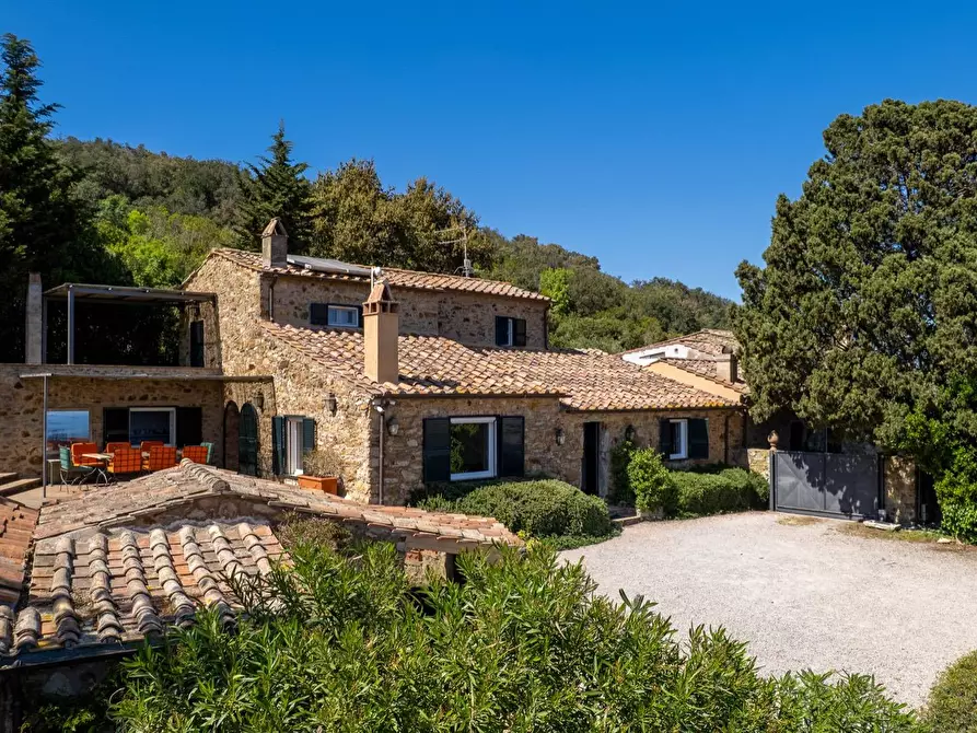 Immagine 4 di Villa in vendita  in Località Spaccamontagne snc a Monte Argentario