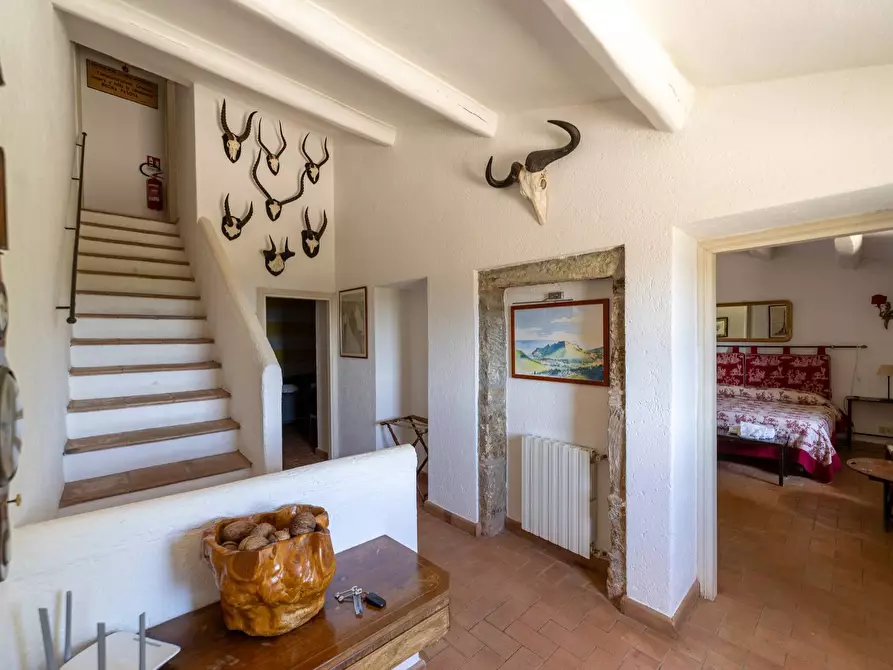 Immagine 14 di Villa in vendita  in Località Spaccamontagne snc a Monte Argentario
