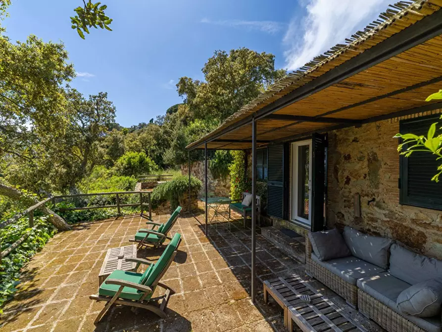 Immagine 36 di Villa in vendita  in Località Spaccamontagne snc a Monte Argentario