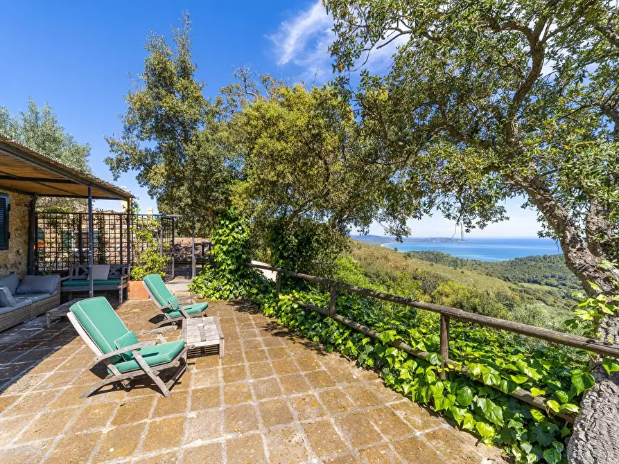 Immagine 38 di Villa in vendita  in Località Spaccamontagne snc a Monte Argentario