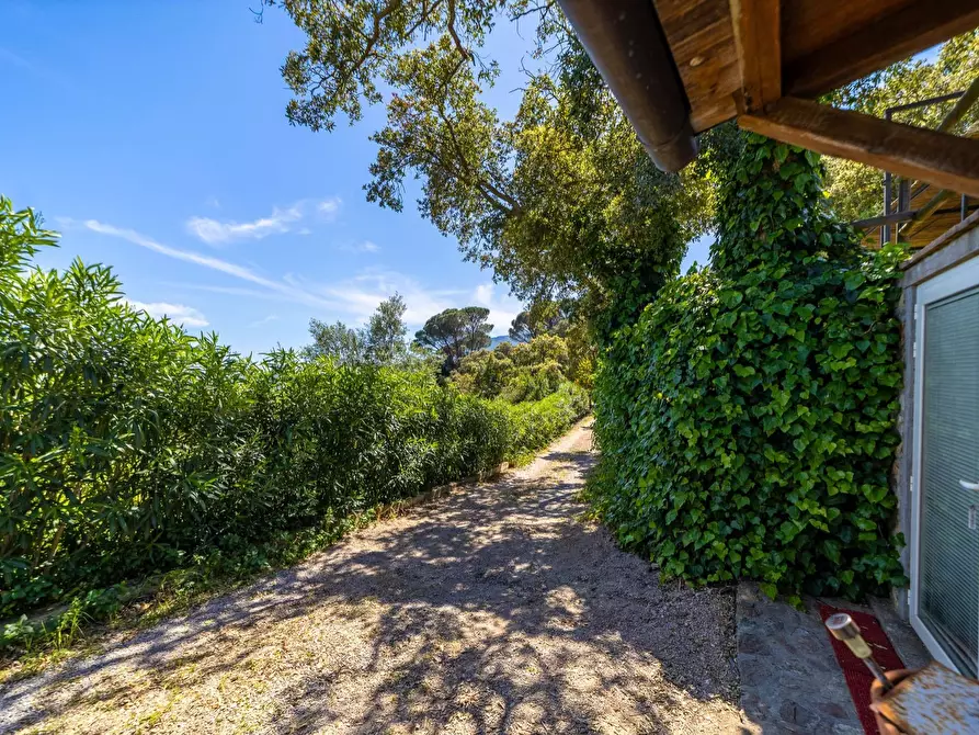 Immagine 43 di Villa in vendita  in Località Spaccamontagne snc a Monte Argentario