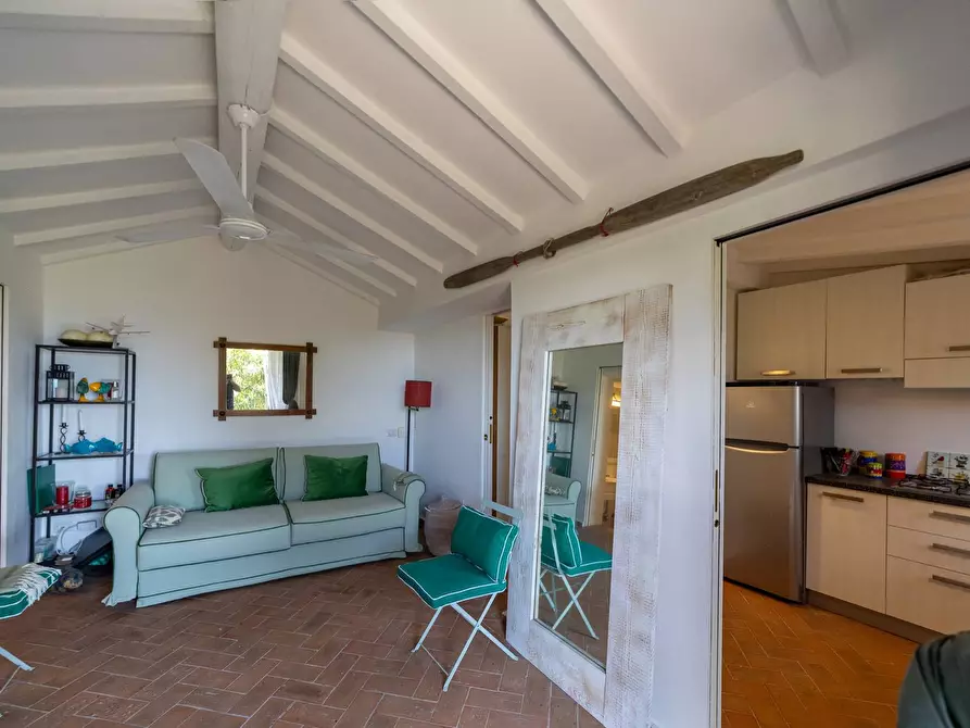 Immagine 46 di Villa in vendita  in Località Spaccamontagne snc a Monte Argentario