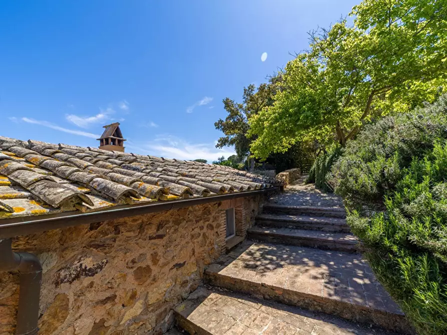 Immagine 50 di Villa in vendita  in Località Spaccamontagne snc a Monte Argentario