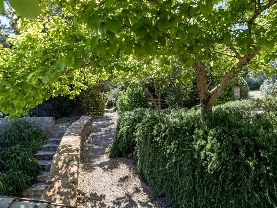 Immagine 52 di Villa in vendita  in Località Spaccamontagne snc a Monte Argentario