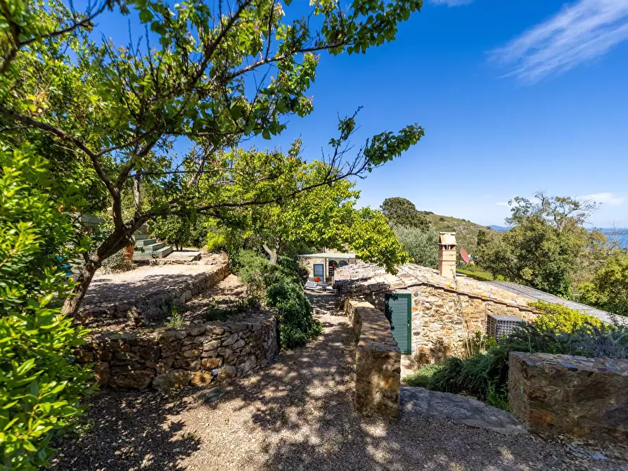 Immagine 53 di Villa in vendita  in Località Spaccamontagne snc a Monte Argentario