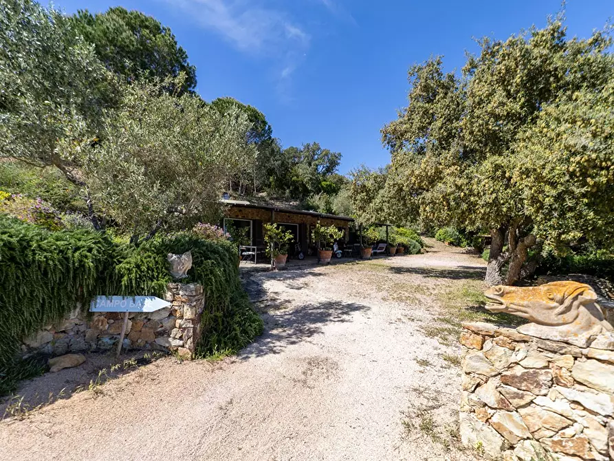 Immagine 54 di Villa in vendita  in Località Spaccamontagne snc a Monte Argentario